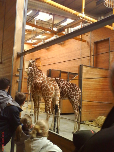 zoo telefon 080 - zoo-copenhaga