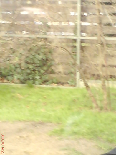 zoo telefon 083 - zoo-copenhaga