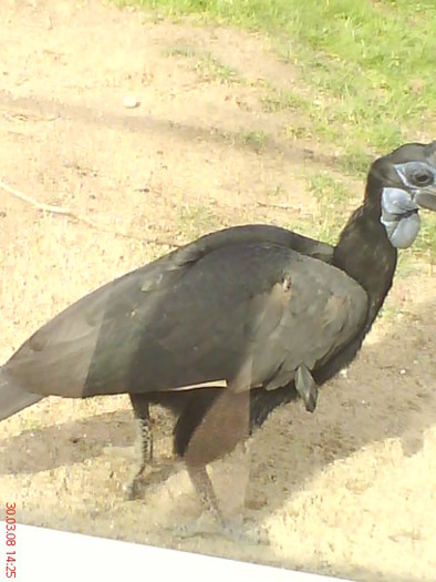 zoo telefon 085