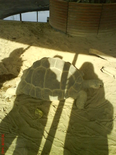 zoo telefon 087