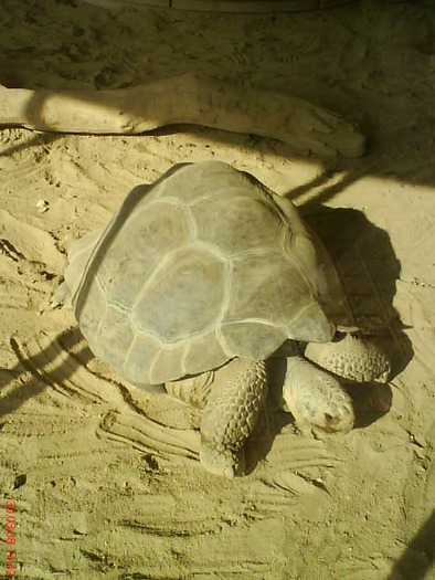 zoo telefon 088