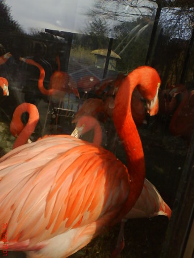 zoo telefon 102