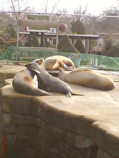 zoo telefon 107