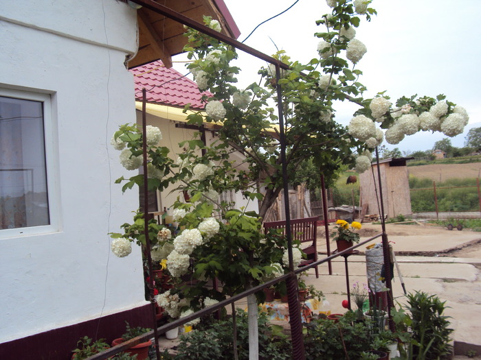 DSC01516