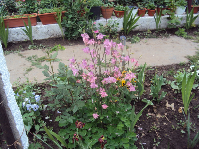 DSC01524