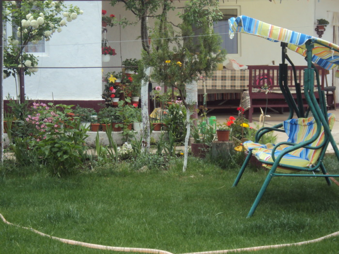 DSC01544 - gradina 2010