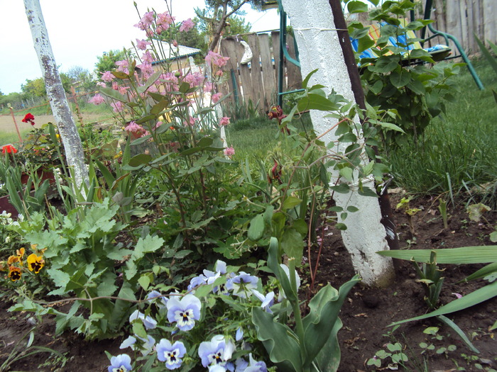 DSC01627