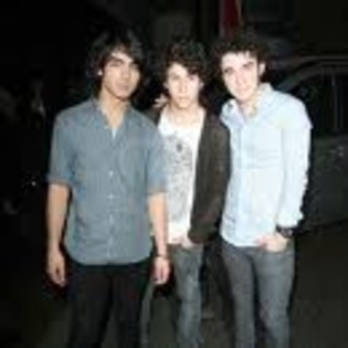 yyyyyyyyyyyyyyyyyyyyyyyyyyyyyyyyyyyyyyyyyyyyyyyyyyy - Jonas Brother