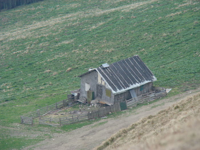 DSC05233 - Baiului Zamora-Sorica