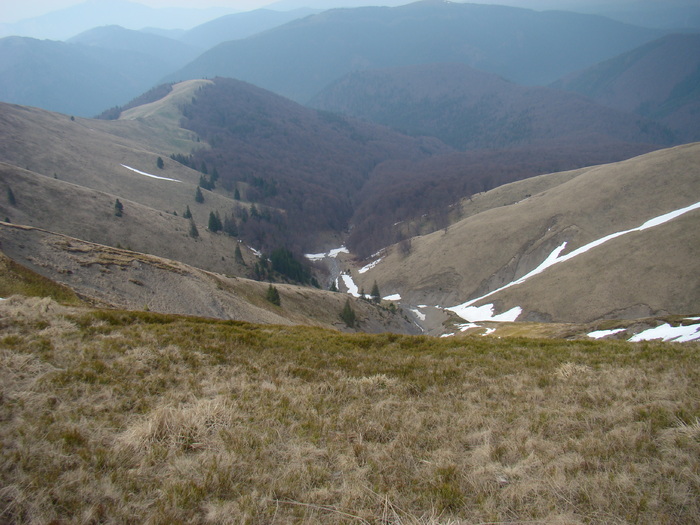 DSC05267