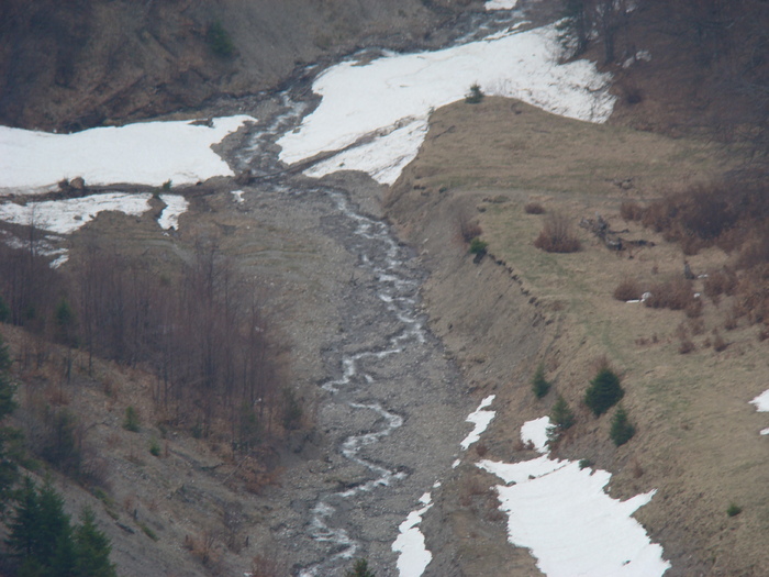 DSC05268