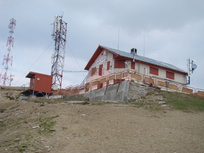 DSC05289 - Baiului Zamora-Sorica