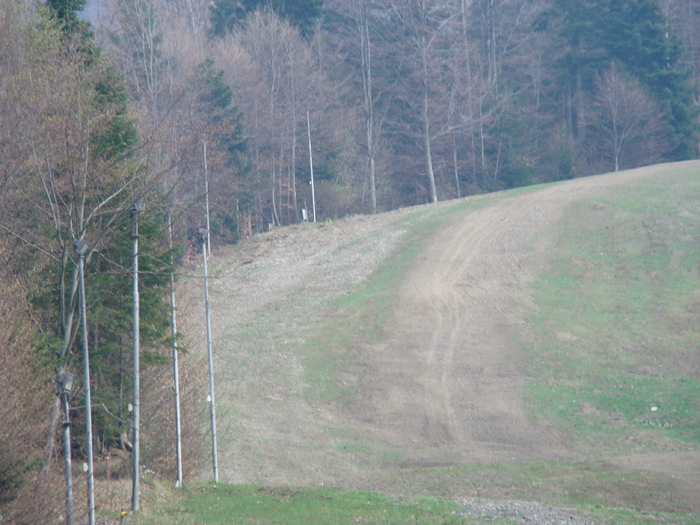 DSC05292