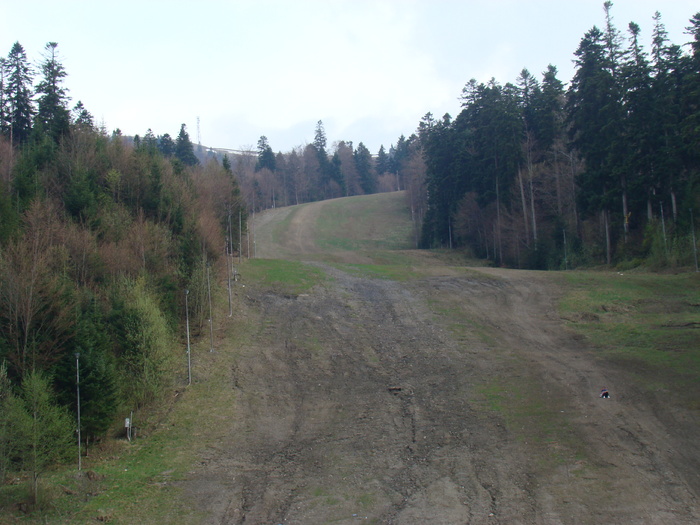 DSC05294