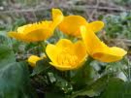 un test important si ai emotii