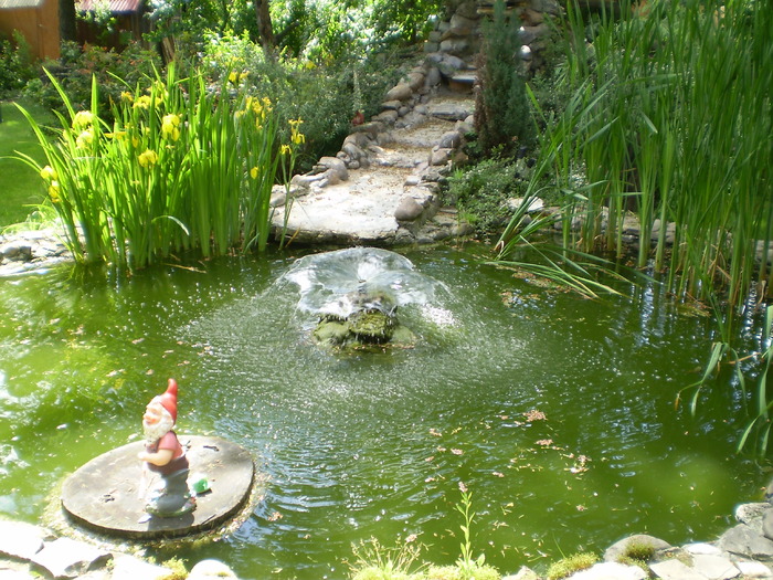 P1010189 - curtea locul de munca