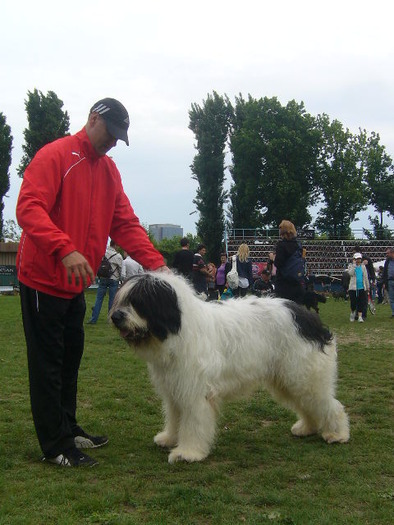 bucuresti3_15052010