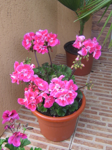 16 mai 014