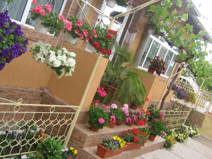 16 mai 048 - FLORI 2010