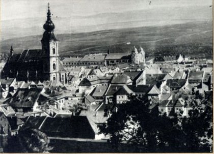 vedere de pe cetatuie inainte de 1850