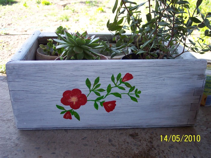 jardiniera; o cutie veche,vopsita,care ascunde ghivecele inestetice
