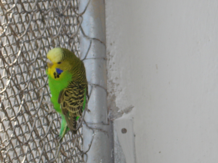 DSC05800 - PUI 2010-MATCA 2011