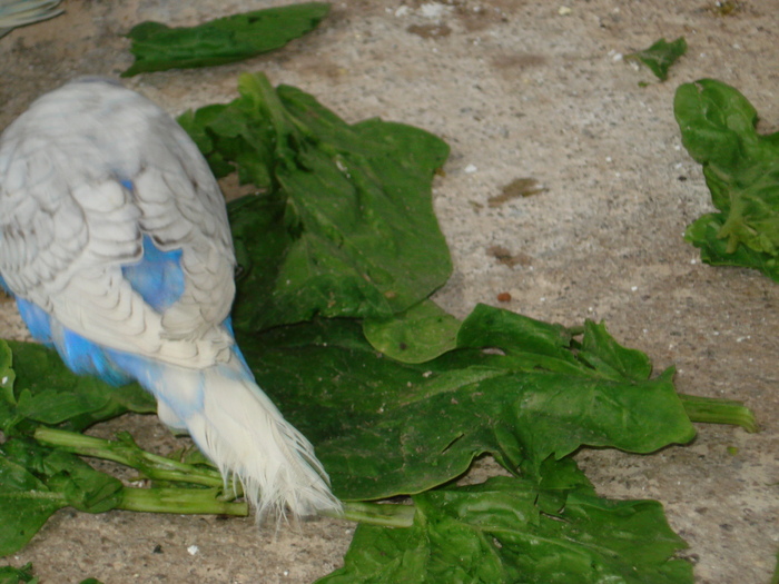 DSC05804