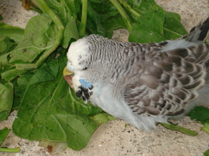 DSC05820