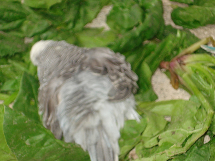 DSC05821