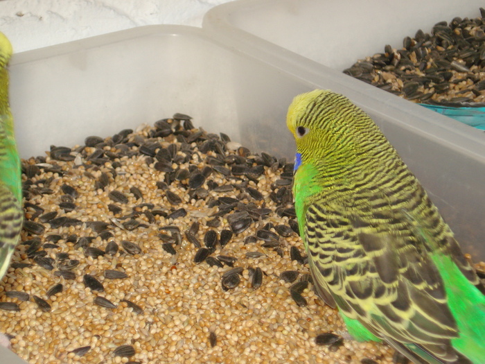 DSC05829 - PUI 2010-MATCA 2011