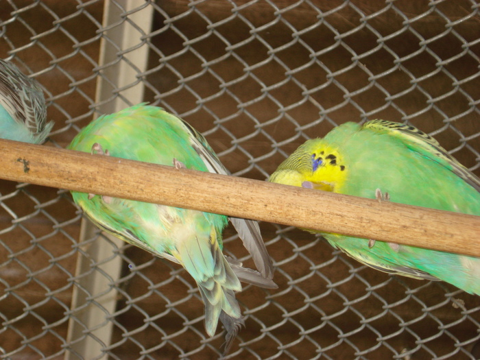 DSC05837