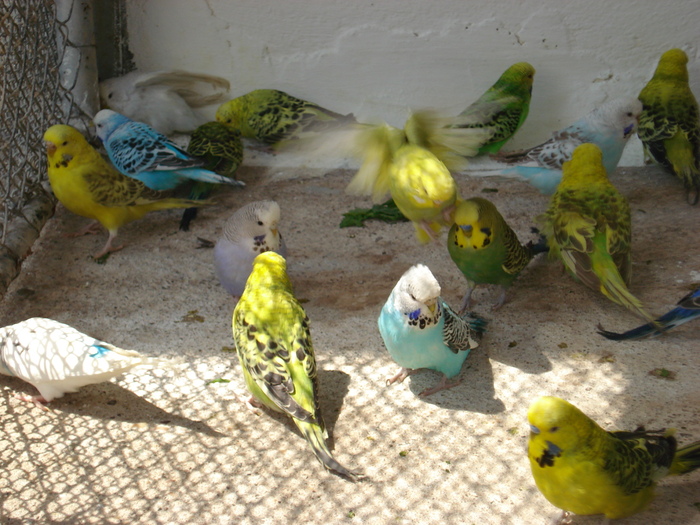 DSC05845