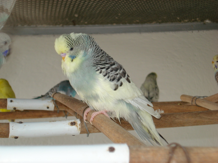 DSC05848