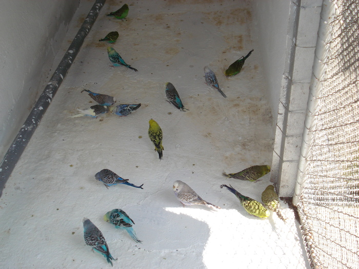 DSC05855 - PUI 2010-MATCA 2011