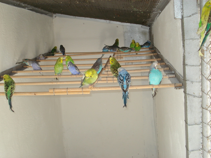 DSC05856 - PUI 2010-MATCA 2011