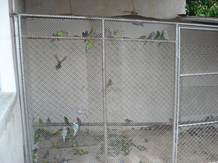 DSC05857 - PUI 2010-MATCA 2011