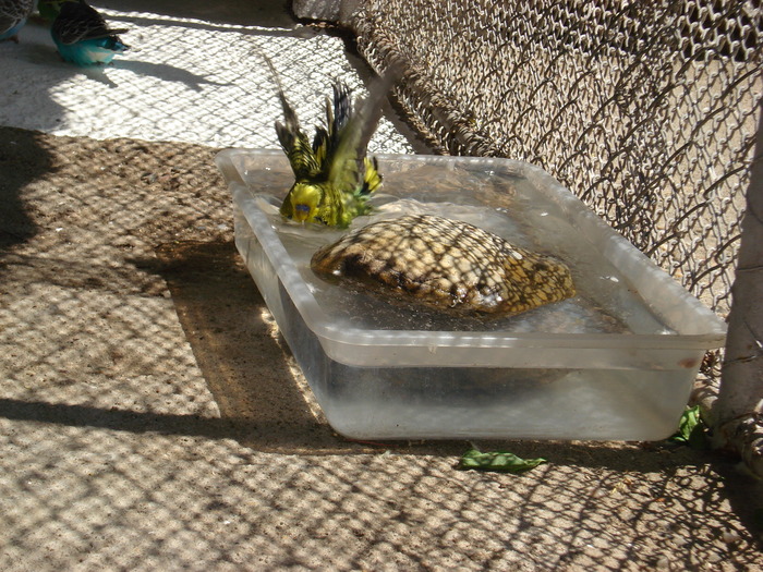 DSC05869 - PUI 2010-MATCA 2011