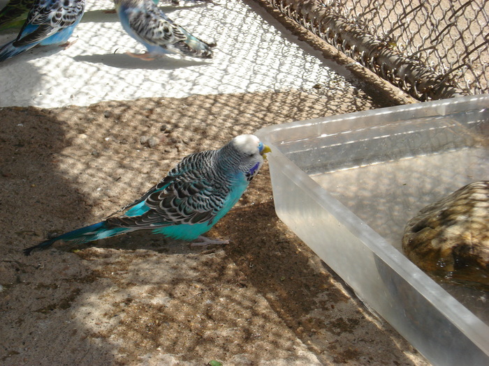 DSC05889