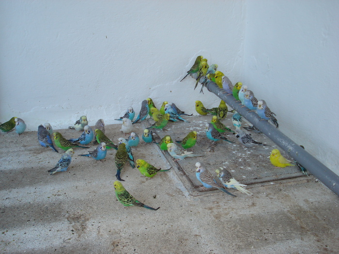 DSC05901
