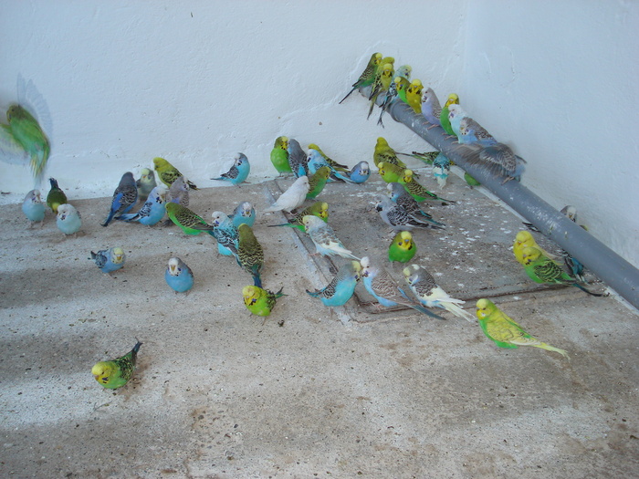 DSC05902