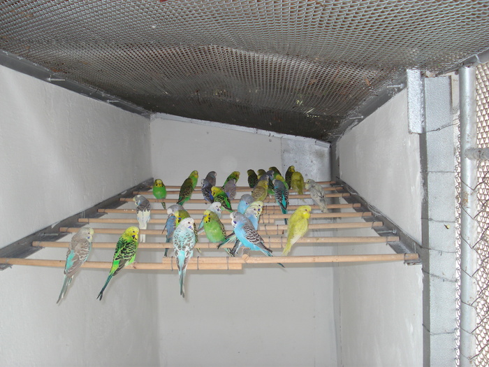DSC05904