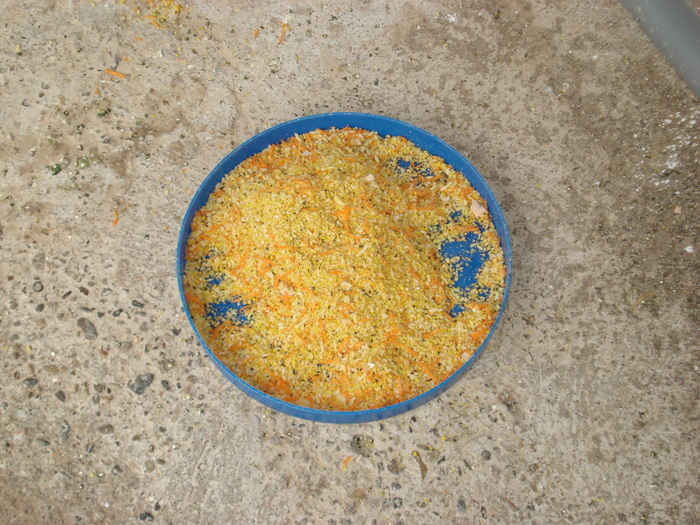 DSC05909