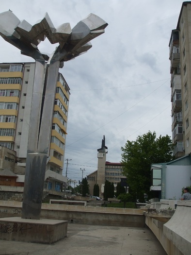  - Municipiul Vaslui 2010