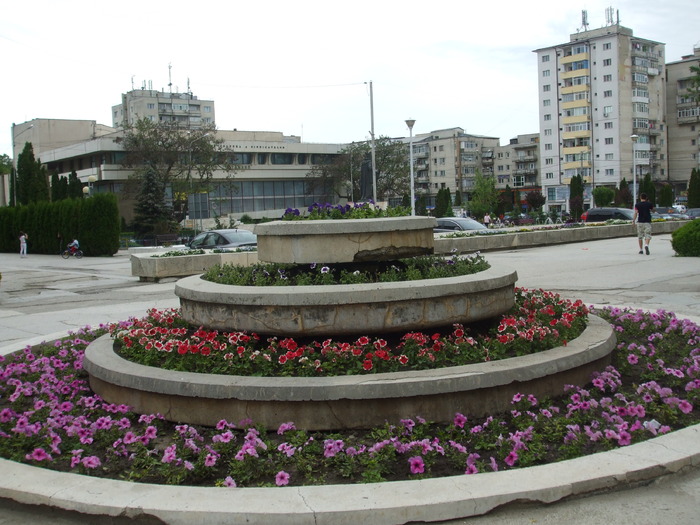  - Municipiul Vaslui 2010