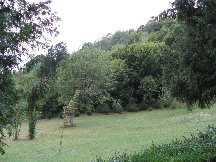 Copy of IMG_3513