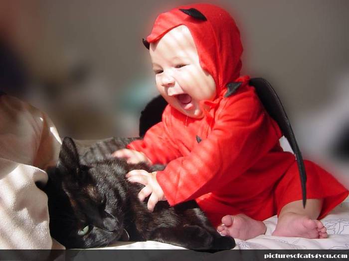 poze-haioase-bebelusi-pisici-negre - bebe cool