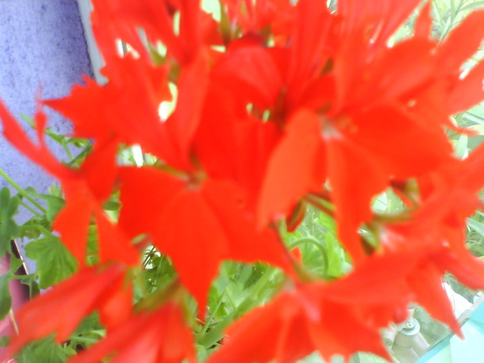 DSC02008
