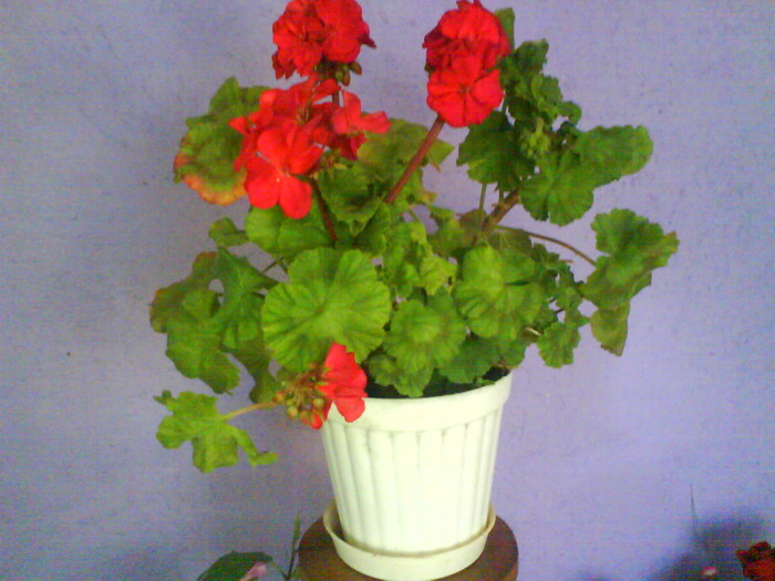 DSC02025