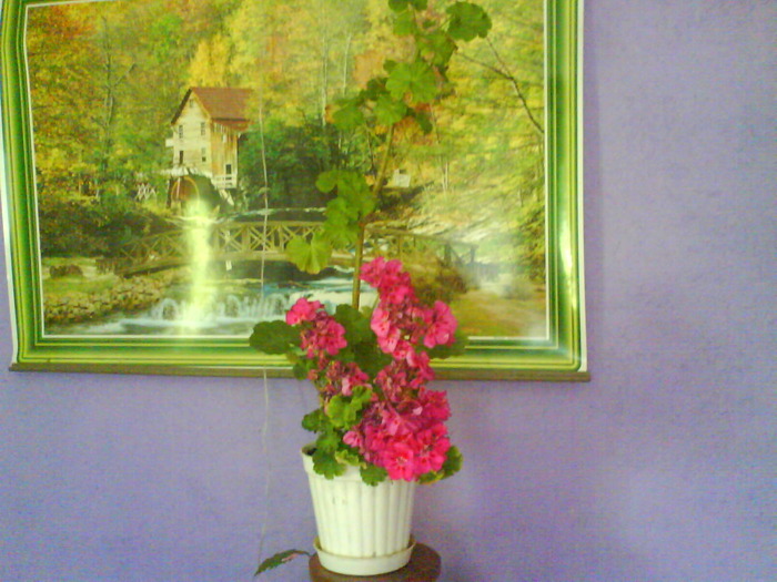DSC02028