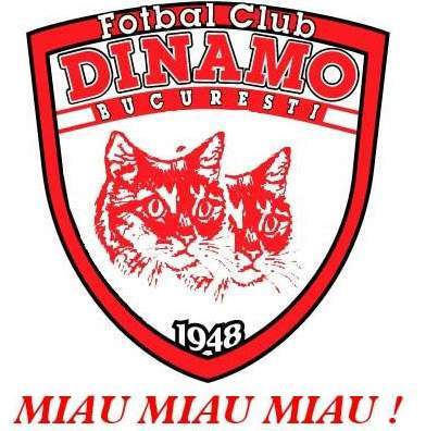 dinamo_miau_miau_miau_-_wallpapers